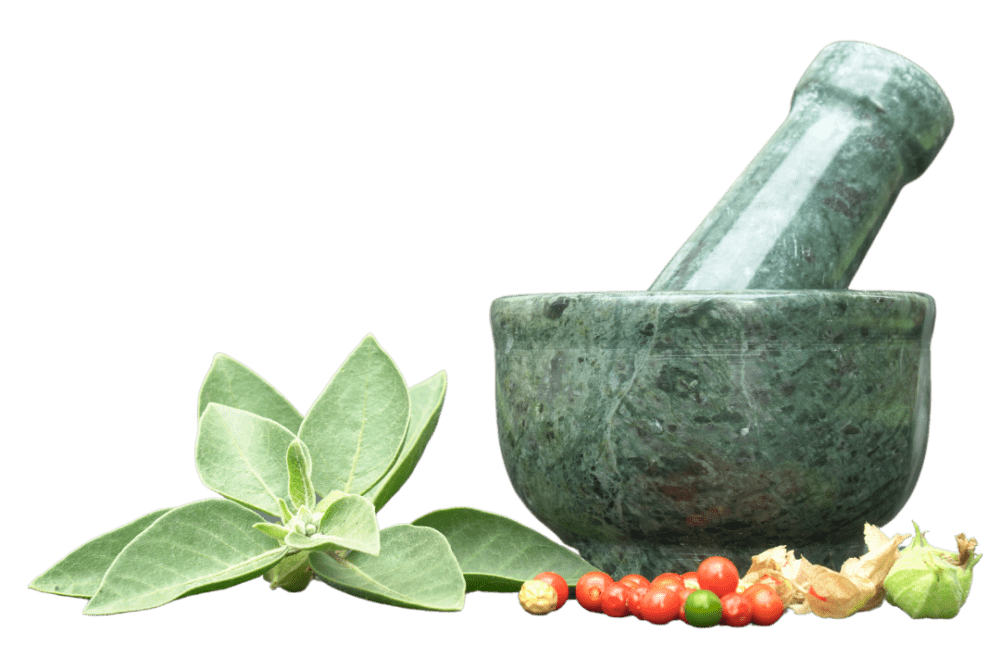 Ayurvedic Health Products