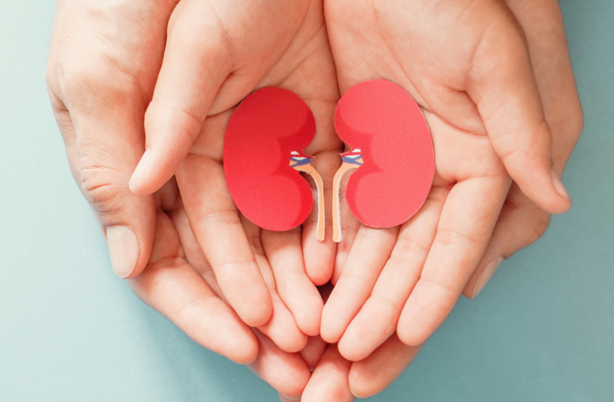 6 Ayurvedic Herbs to Cleanse & Support Kidney Health Naturally